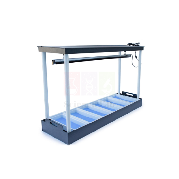 Hydroponic Tray